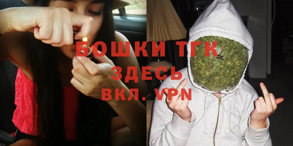сатива Богородицк