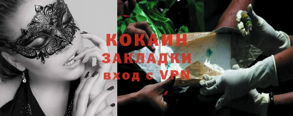 сатива Богородицк