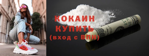 сатива Богородицк
