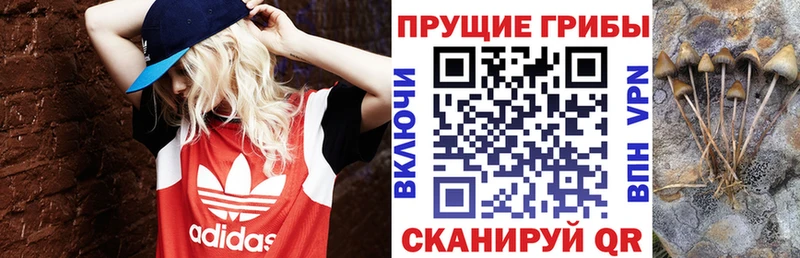 Псилоцибиновые грибы Magic Shrooms  Губкин 